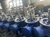 Stainless Steel Sanitary Pipe Line High Shear Mixing Homogenizer Pump with Frequency Converter for Milk